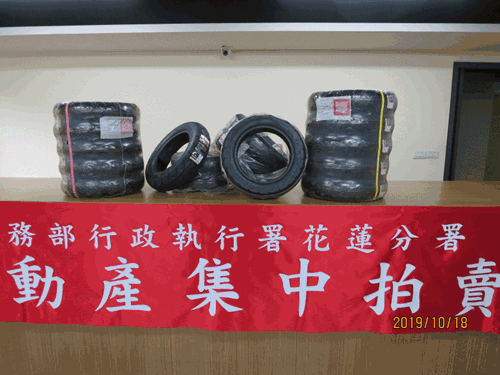 2公斤53公分巨大海螺貝殼 收藏品等級只要3200元