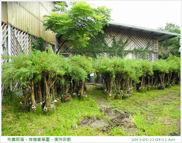 香草園