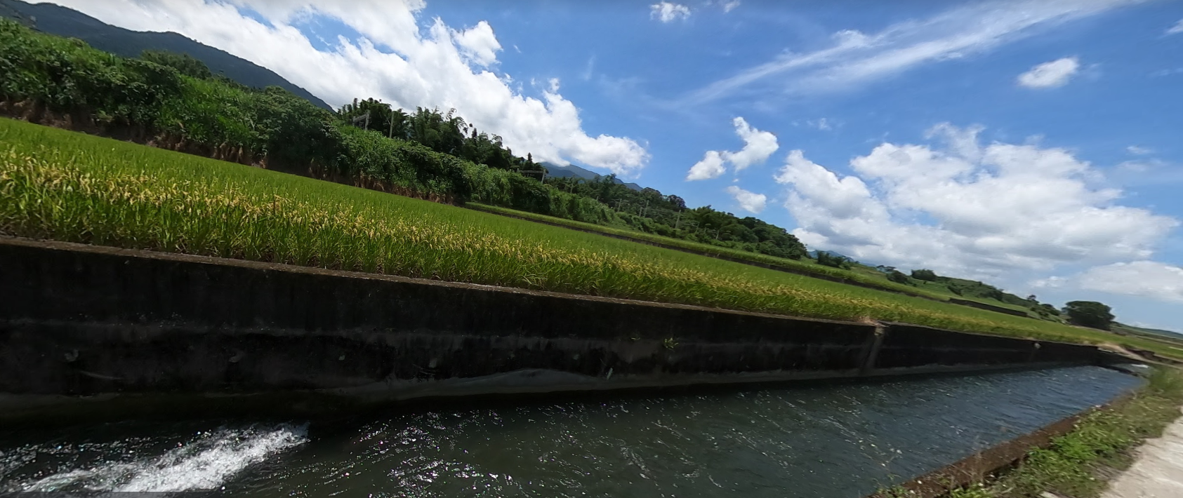 富里鄉農地(側面)