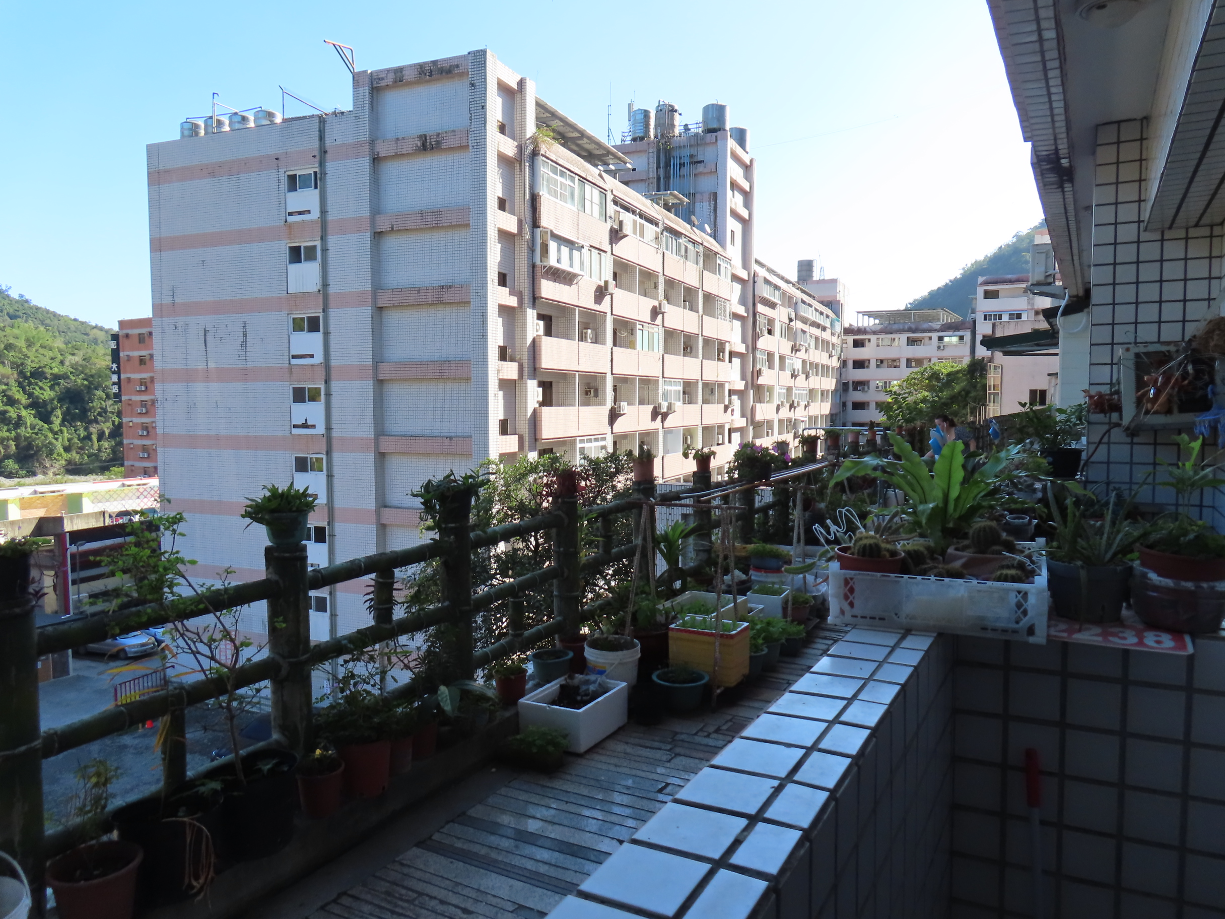 知本溫泉套房窗外景