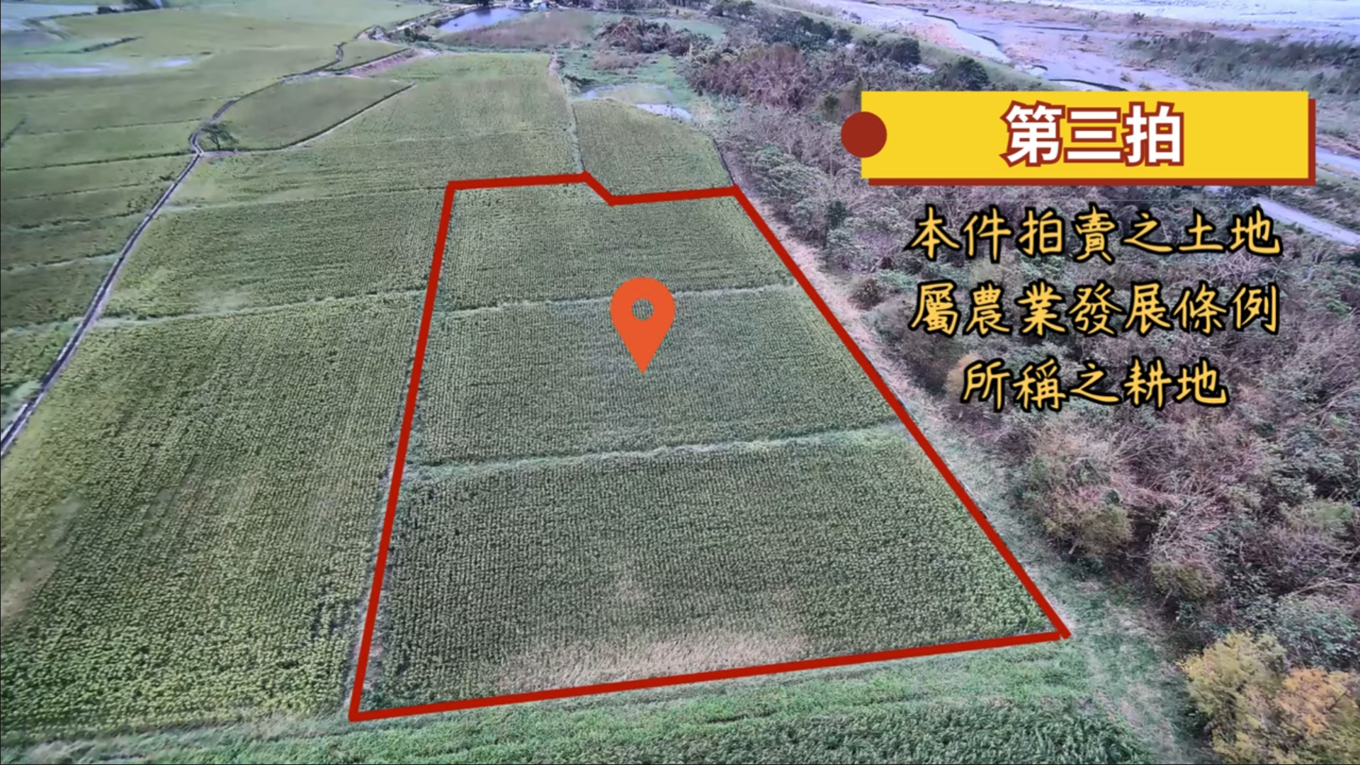 花蓮縣瑞穗鄉青山段土地空拍畫面