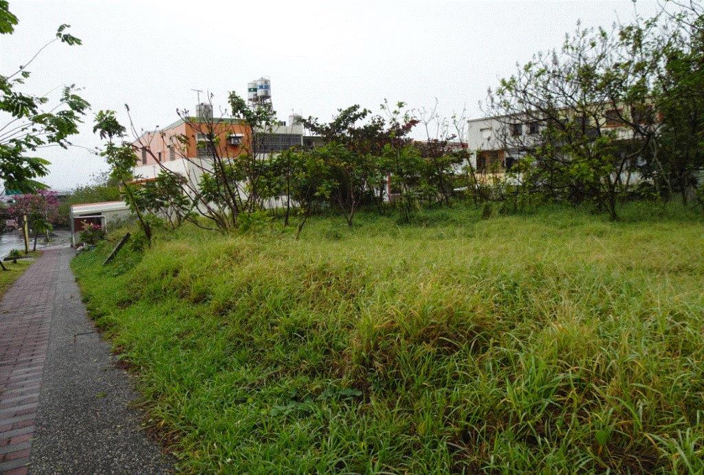 太麻里日昇大道旁907坪美地，114.8.5第二次拍賣