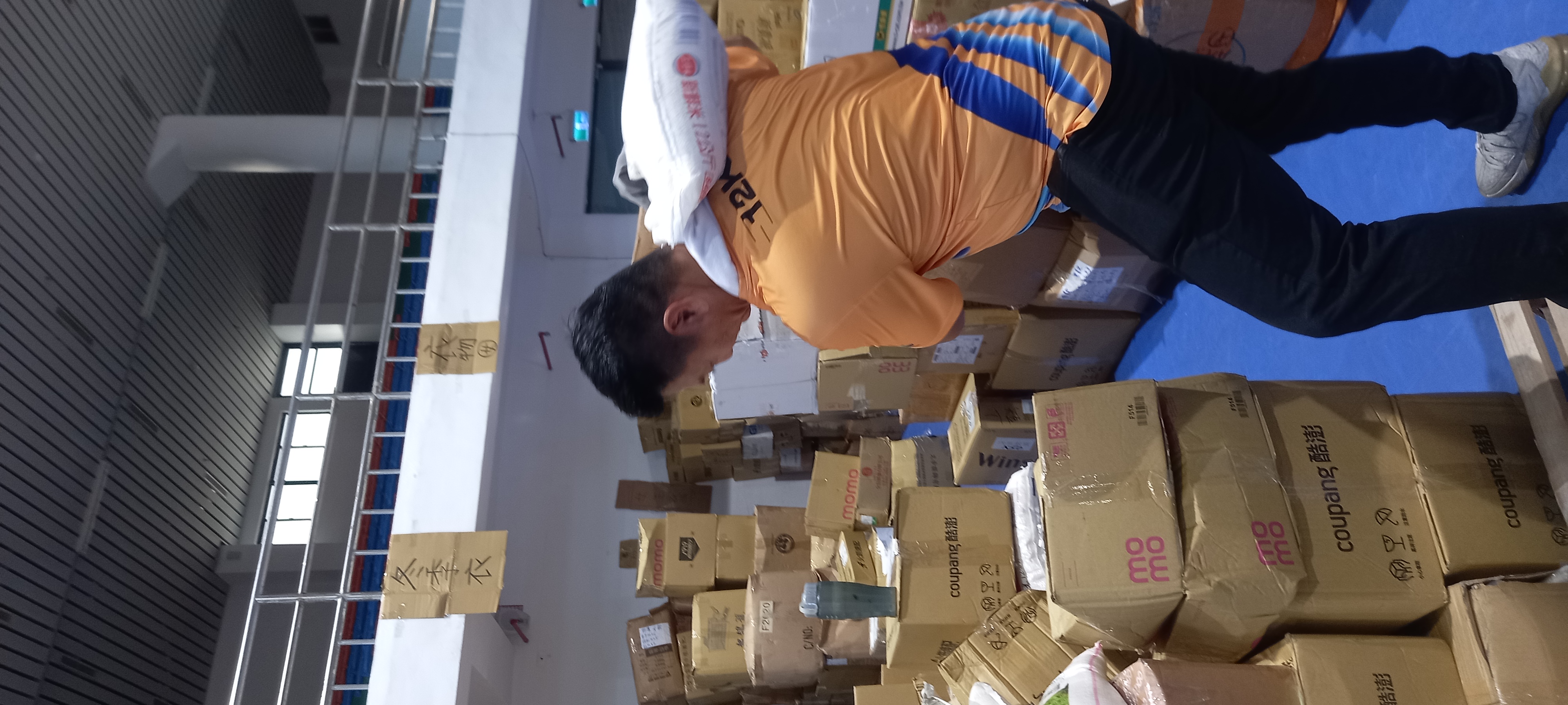 本分署蔡英分署長帶領同仁變身「整理物資超人」_照片8