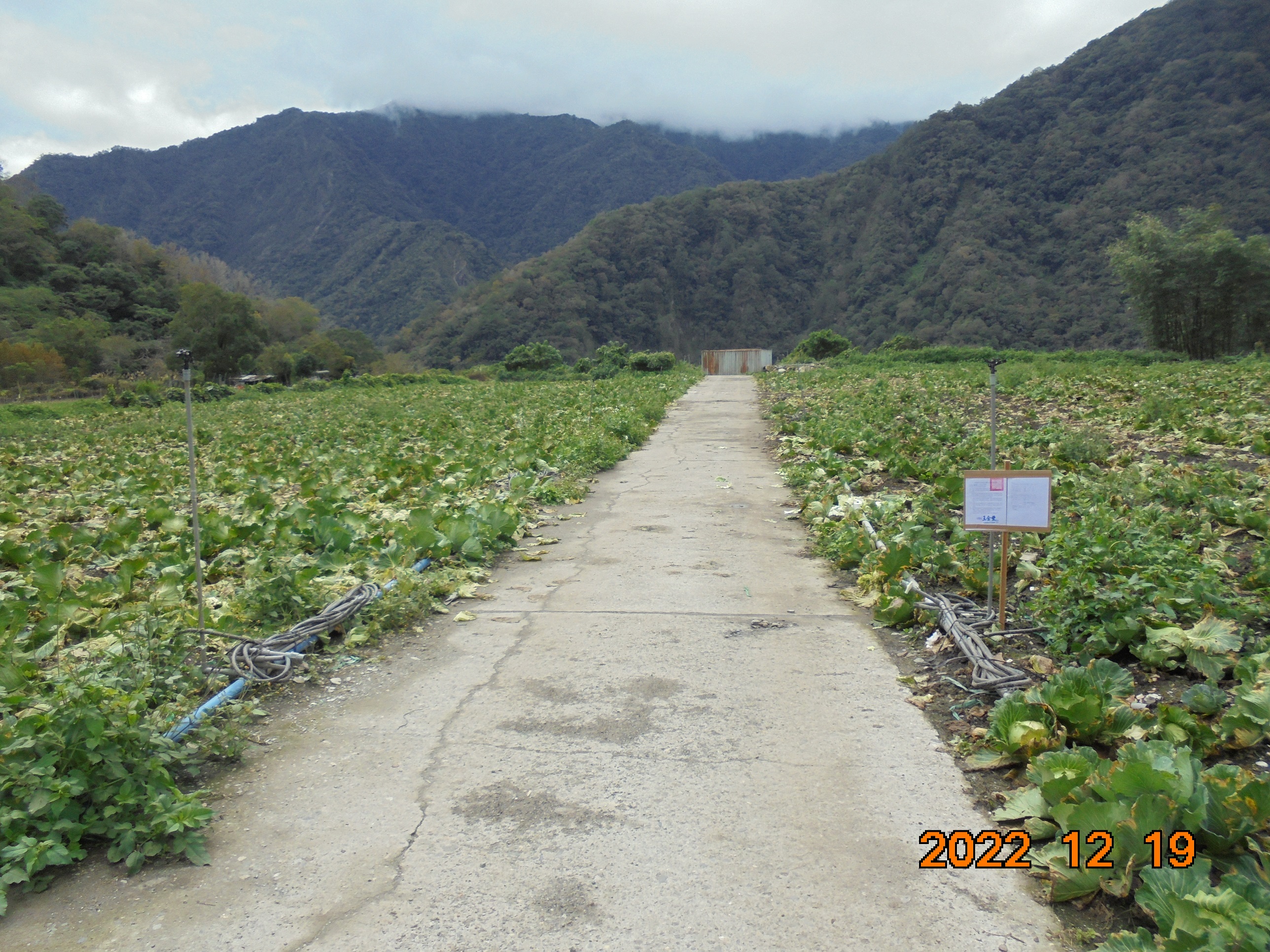 6.臺東縣海端鄉利稻段土地