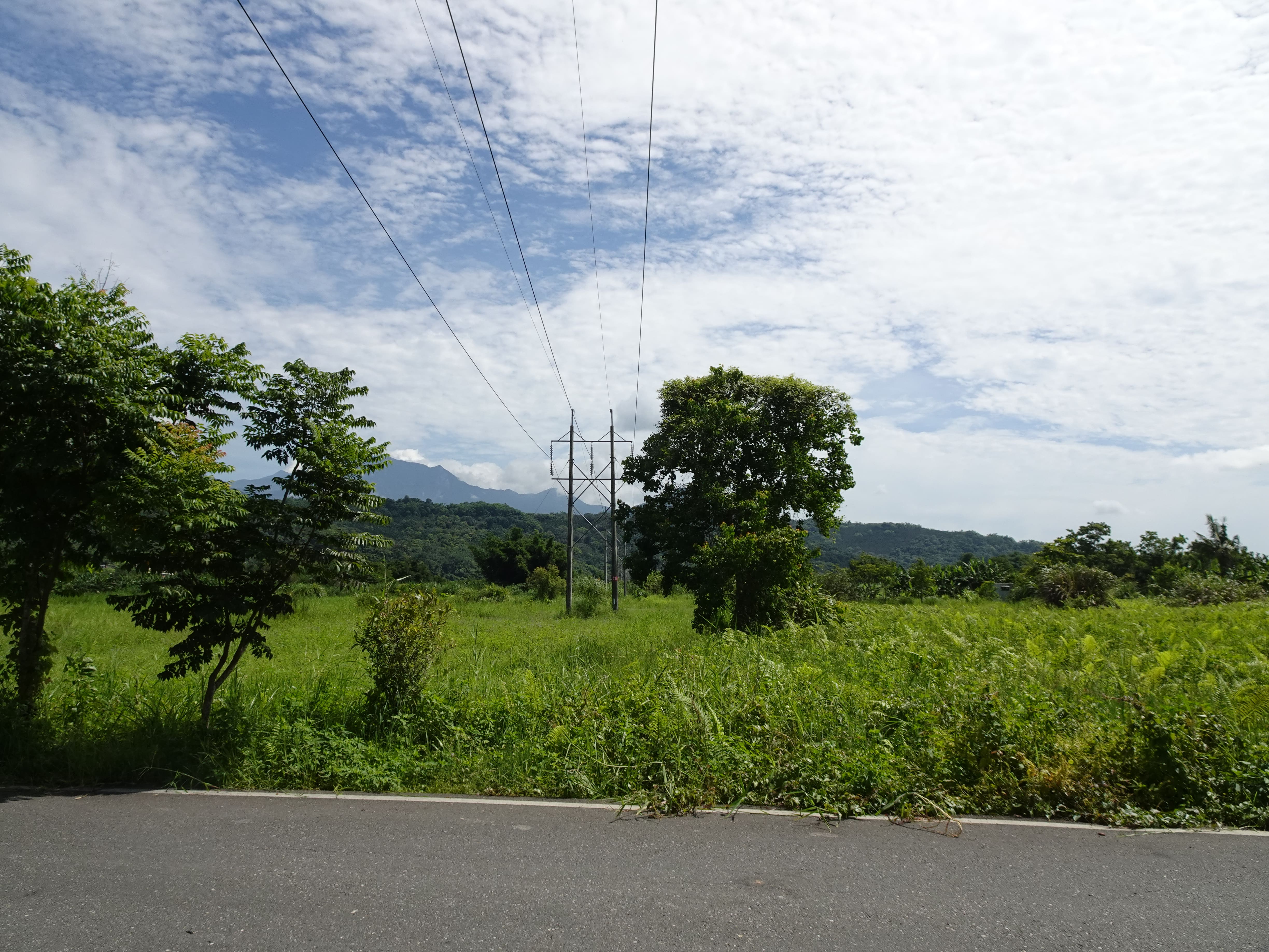 2.花蓮縣壽豐鄉政明段土地