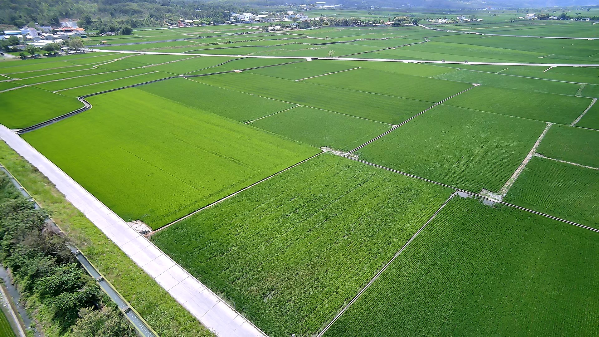 花蓮分署運用無人機空拍法拍不動產-拍攝地點位於臺東縣池上鄉