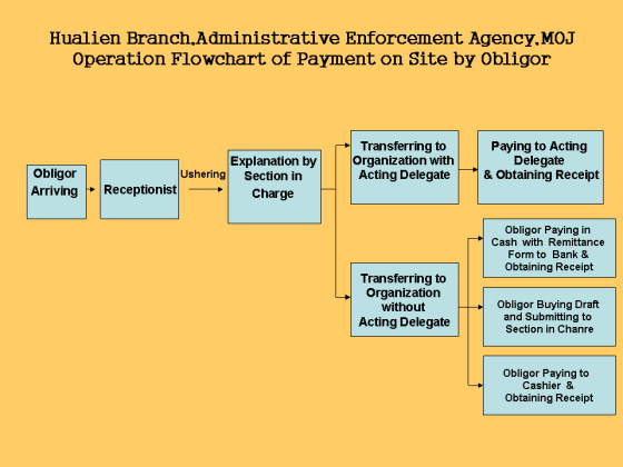 Operation Flow chart of Payment on Site by Obligor